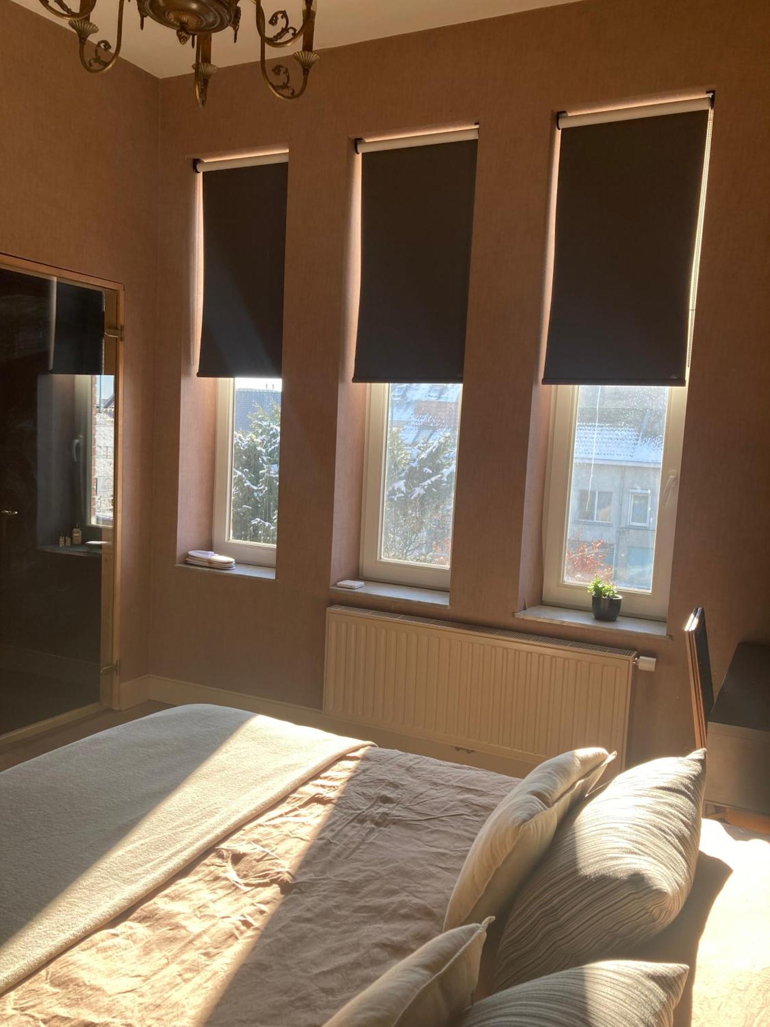 Maison Stout Hasselt Dış mekan fotoğraf